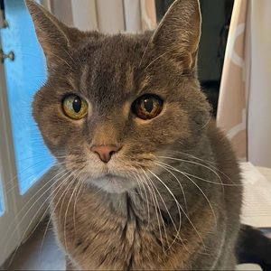 Meet your Posher, Monica